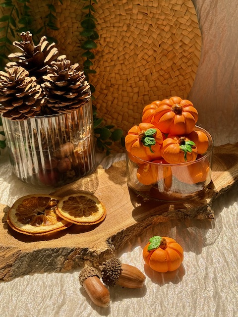 IMG_5438 کدو دکوری دو سایز